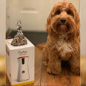 Furbo Dog Camera