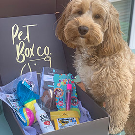 Pet Box Co – Summer Box